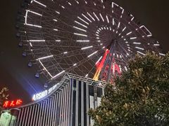 -星城之眼摩天轮