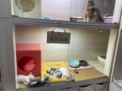 -花鸟鱼虫鲜花绿植市场(玉泉路店)