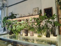 -绿小院(荔湾店)