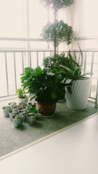 android_upload_pic-GRACE格瑞斯瑜伽馆