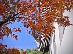 -中国湖笔博物馆(莲花庄路)