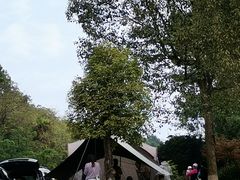 -铁山坪森林公园