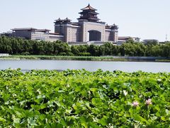 -莲花池公园