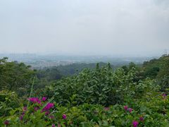 -火炉山森林公园