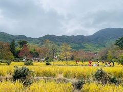 -塔川景区