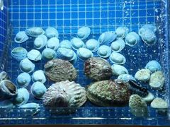 -辉哥火锅(虹桥路店)