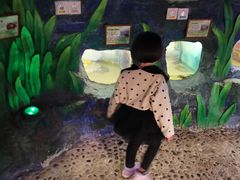 -上海大自然野生昆虫馆(东方明珠·爬宠昆虫探索中心)