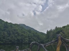 -洛阳白云山景区