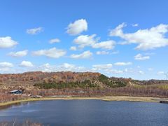 -御道口草原森林风景区