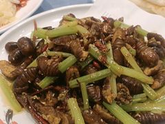 -中国吉菜名店广源宾馆餐厅