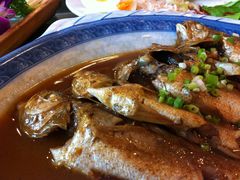 红烧小黄花-山东八大碗山东老字号