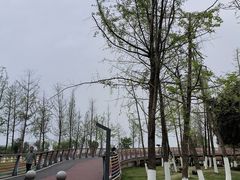 -府河摄影公园