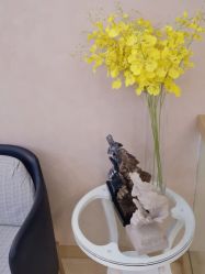 -熙朵美学植发·连锁品牌