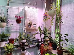 -双季花艺园艺市场(浦东店)