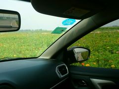 android_upload_pic-太平河公园