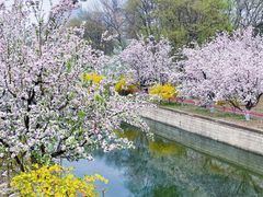 -元大都城垣遗址公园