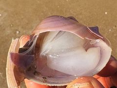 -嵊泗基湖沙滩