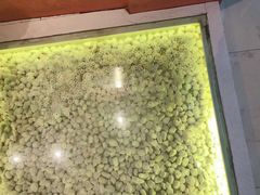 -狐狸和向日葵(北京路店)