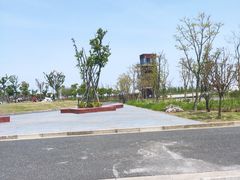 -春花秋色城市公园