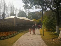 -瀛洲公园