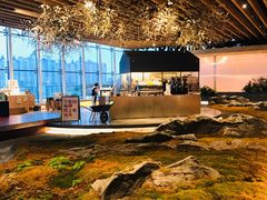 -Seesaw Coffee(朝阳大悦城店)