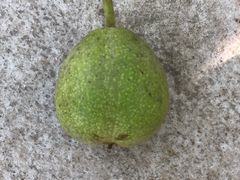 -麦当劳(湖光北街店)