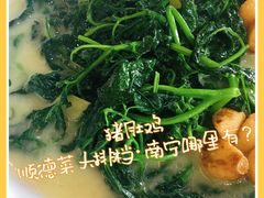 上汤白花菜-金记猪肚鸡(琅西店)
