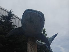 -烟台海昌鲸鲨海洋公园