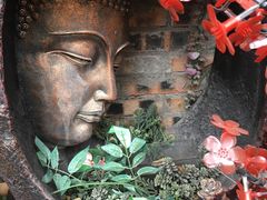 -树洞桌游宠咖小酒馆