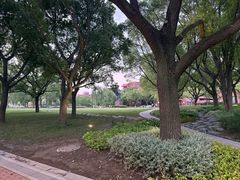 -上海交通大学(闵行校区)