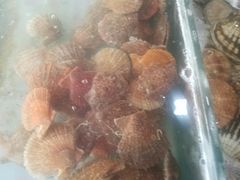 -老地方农家菜(昌黎一店)