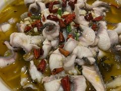 -周正水煮活鱼·吊水鱼(万科店)