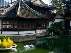 -豫园湖心亭茶楼