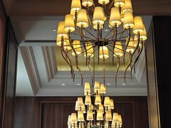 -东海朗廷酒店·廷廊 Palm Court