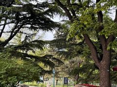 -国家植物园南园