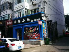 -哈尔滨道外花鸟鱼市场