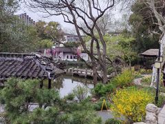 -上海醉白池公园