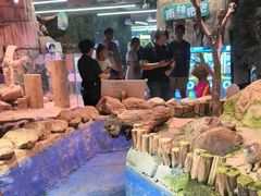 -正佳雨林生态植物园