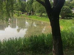 -堤角公园