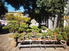-凤凰寺