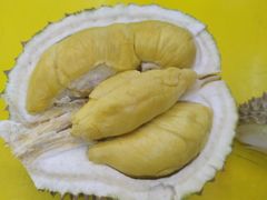 -都念榴莲·城市榴莲