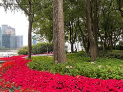 -北外滩滨江绿地