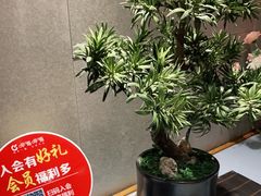 -呷哺呷哺(星光天地店)