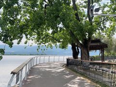 -西昌邛海湿地