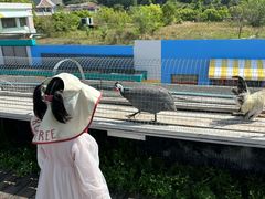 -宁波九龙湖开元度假村