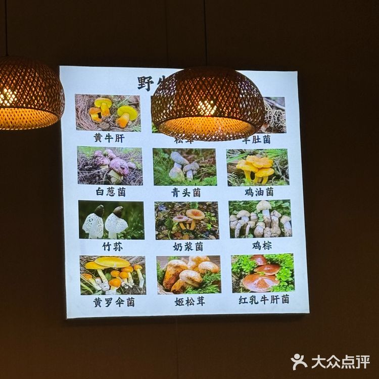 今天的美食探店之旅