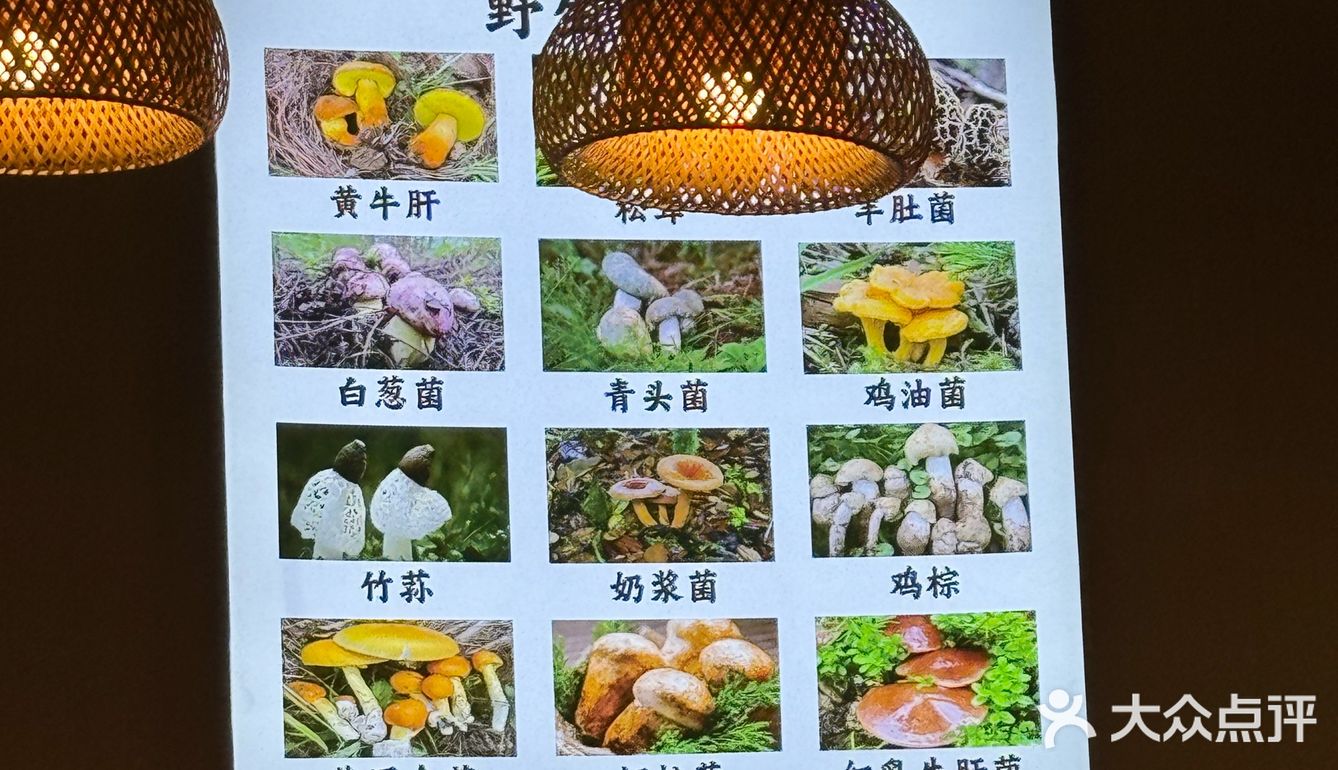今天的美食探店之旅