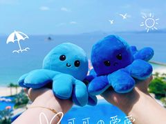-深圳大梅沙京基洲际度假酒店