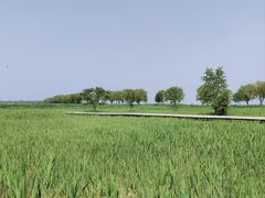 -野鸭湖国家湿地公园