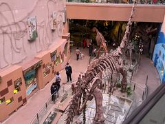 -陕西自然博物馆